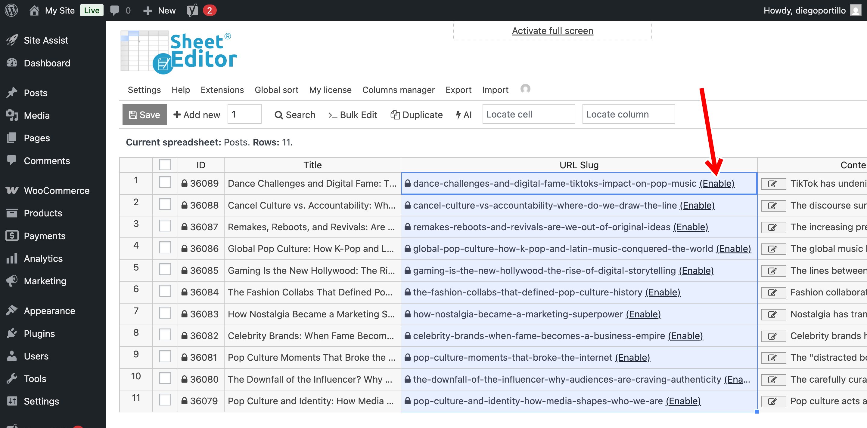 bulk generate seo slugs for wordpress