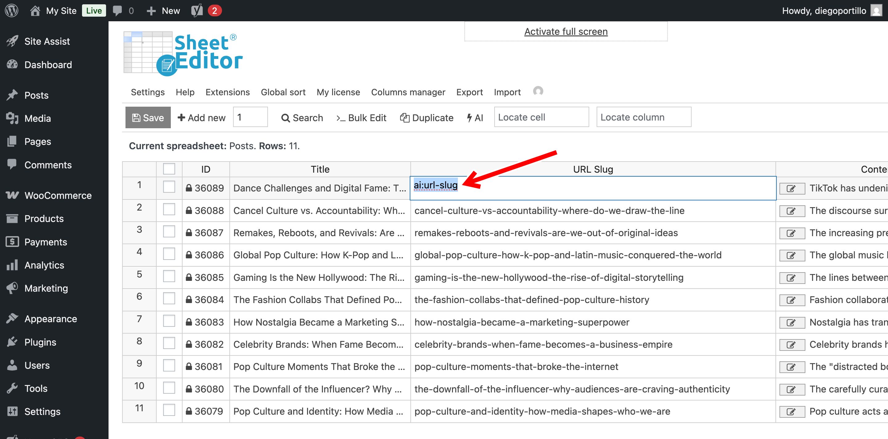 seo friendly slugs for wordpress
